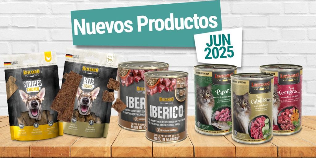 Nuevo Leonardo y Belcando